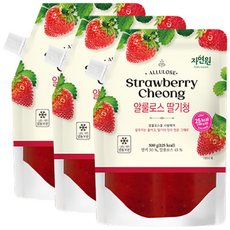 [자연원] 알룰로스 딸기청, 3개, 500g