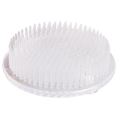 꽃꽂이 원형 투명 흡착식 침봉, 1개