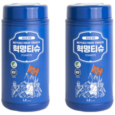[본사 정품] 데일리아이디어 혁명티슈 70매 x 2통 멀티클리너 세정티슈 1종세제 안심성분, 2개