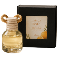 담숲 차량용 방향제 피톤치드 편백 천연오일 디퓨저 걸이형, Citrus Fresh(시트러스 프레시), 1개