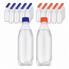 라인바싸 탄산수 플레인+자몽 500ml x 2박스 (20+20개), 40개
