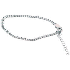 DING DONG PET 寵物吊牌項鍊, 銀