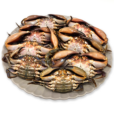 [주문폭주] 가성비 갑 100% 국내산 특급 심쿵 간장 돌게장, 2kg, 1개