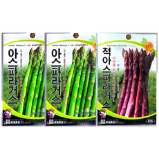 아스파라거스 3종세트 청아스파라거스50립 2봉 적아스파라거스40립 1봉 기획전, 3개