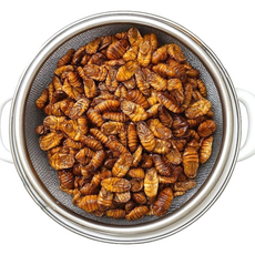 수산잇츠 냉동 자숙 번데기 고단백 저칼로리 술안주 번데기탕 추억의간식, 3개, 1.8kg