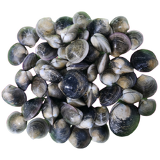 모시조개 1kg 남해안 조개탕 시원한 국물요리, 1개