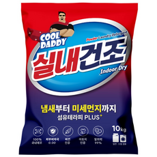 쿨대디 찬물에 잘녹는 실내건조 가루세제, 10kg, 1개