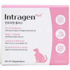 강아지 고양이 인트라젠 플러스 종합영양제 분말, 장건강/유산균, 1개