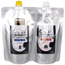 뉴겐 금송 이카 보쿠쥬우 오징어먹물 헤어칼라 1제 500ml + 2제 500ml, 내추럴브라운, 1개