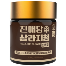 진애담 삼라지청 도라지청 농축액 100%, 4개, 1개입, 100g