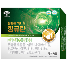 동화약품 혈행엔 기억력 징큐란 은행잎추출물 징코 11종기능성, 120정, 1개