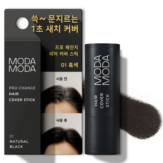 모다모다 프로체인지 헤어 커버 스틱 3.5g, 1호 흑색, 1개