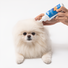 쉬즈곤 반려동물 병풀수 70% 함유 저자극 이어케어 귀세정제, 130ml, 1개