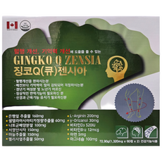 징코큐 젠시아 은행잎추출물 기억력개선 혈행개선 120정 4개월분, 1개
