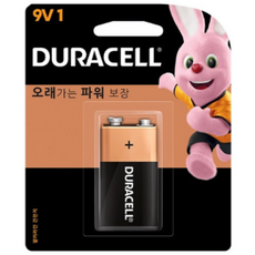 듀라셀 알카라인 건전지 9V 1개입 2개
