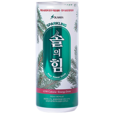 솔의힘 저칼로리 에너지드링크 250ml, 120개입