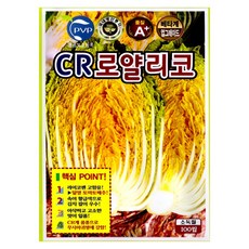 KS종묘 CR로얄리코 배추 씨앗 황금색 속잎 김장용 CR계 품종 무사마귀병 저항 100립 KS, 1개