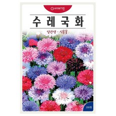 수레국화 혼합 씨앗(200립) 꽃씨 종묘 종자 씨 영웅 KS, 1개