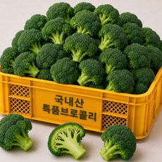 [200개한정수량] 국내산 신선한 특품 브로콜리, 1개, 1kg