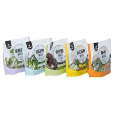 휴엔팜 혼합 샐러드 5봉 세척 야채 믹스 채소 포케 식단 관리 100g, 5팩, 국내산 혼합 샐러드 (5종 각1팩)