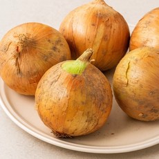 국내산 양파 산지직송 3kg 5kg 10kg, 1개, 3kg  소