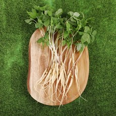 GAP 토정마루 새싹인삼 50뿌리 소(15~20cm) 친환경 무농약 새싹삼 부모님 건강 선물, 1.2g, 50개