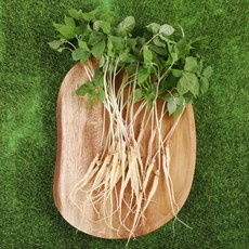 GAP 토정마루 새싹인삼 100뿌리 소(15~20cm) 친환경 무농약 새싹삼 부모님 건강 선물, 1.2g, 100개