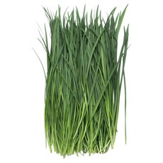 신선야채 부추 4kg, 1개