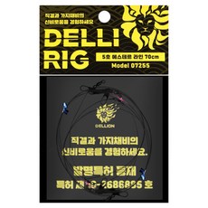 델리온 델리리그 직결 가지채비 5호 2개입, 5개, 블랙
