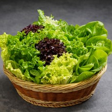 무농약 유러피안 샐러드 유기농 유럽쌈채소, 1박스, 1kg