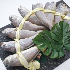 (재주문 높음)산지직송 법성포 영광굴비 가정용세트 20미 1.4kg, 1세트