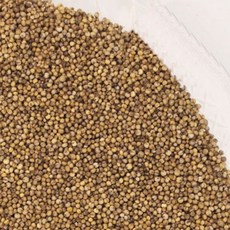 맛봉달 24년산 청차조 차조 찰조 차조쌀 차조밥 차좁쌀 중국산, 1개, 5kg