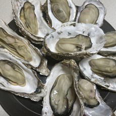 [남해안1위청파수산] 통영 여수 제철 굴 석화 세척 삼배체굴 각굴, 1세트, 석화 10kg