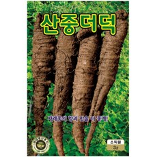 산중더덕 씨앗 재래종 향과 맛이 진한 국산 더덕 종자 3g ks