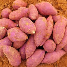 2025년 해남 퍽퍽한 햇밤고구마 산지직송 다디달다 2kg 3kg 5kg 10kg, 1개, 밤고구마 한입2kg