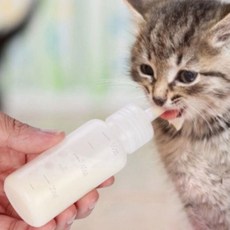 반려동물 젖병 세트 새끼강아지 고양이 분유 물약 먹이기 아기동물 물통 수유세트