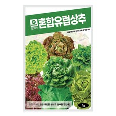 유럽상추 혼합씨앗 1g 약 1000립/ 유럽종 버터헤드 쌈채소 종자 롤로 생채 샐러드, 3개