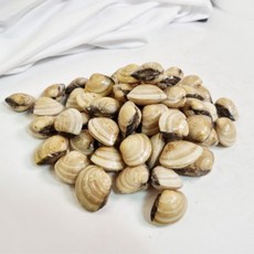 업소 식당용 백합조개 한박스 냉동조개 냉동백합조개 조개구이 탕 해물찜 해물요리용, 1개, 5kg