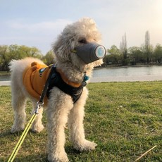 3개 강아지미세먼지마스크 펫마스크 개스크 강아지마스크 3개입, M (3개입)