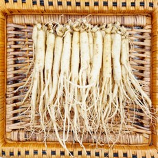 [실속형] 풍기인삼 업소용 삼계탕용 백숙용 세척인삼 300g/ 500g/ 1kg (50~60뿌리) 삼영인삼사, 300g, 1개