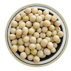 이슬처럼 국산 백태 1kg 메주콩 노란콩 ( 2025년산 ) 국내산, 1개