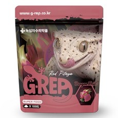 녹십자 지렙 크레스티드게코 슈퍼푸드, 1개, 100g