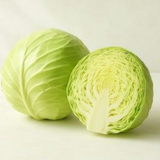 기찬드림 국내산 아삭아삭 양배추 1통 (3kg 내외), 3kg, 1개