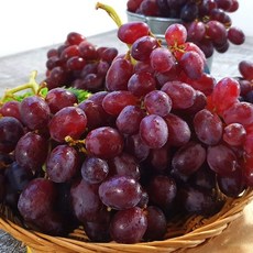 크림슨 적포도 캔디하트포도, 1박스, 1kg