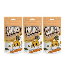 [썬더펫] 닥터뮨 쿠앙 크런치 덴탈 연어 양치껌 고양이껌, 40g, 12개