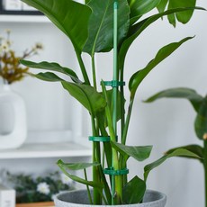 두두타운 높이조절 2단고정 식물지지대 90cm, 10개