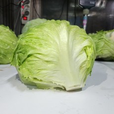 국산 양상추 포장 12통 최상품 1박스 가락시장 직송, 6kg