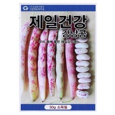 그린하트바이오 제일건강 강낭콩 씨앗 핑크 종자 얼룩 강낭콩 텃밭 콩 재배용 30g 그린하트, 1개