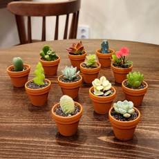 귀여운 초미니다육 식물 독일토분 계란판6구 계란판3구 계란판2구 다육사랑 예원, 계란판 2구+초미니다육2개, 1세트