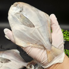 목포 자연산 급냉병어 선도좋은 자랭이병어 구이 조림 실속형, 1박스, 자랭이병어(500g 5미)